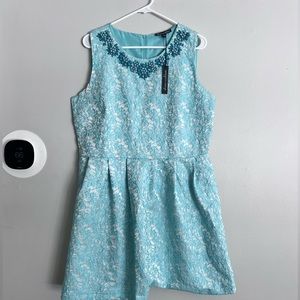 Alison Andrews Jeweled Jacquard Sleeveless Dress